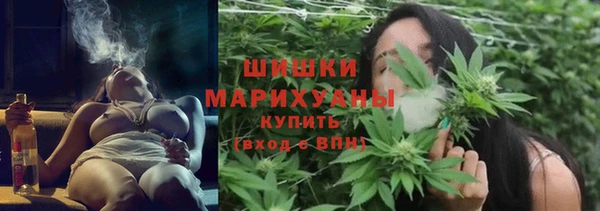 молекула духа Весьегонск