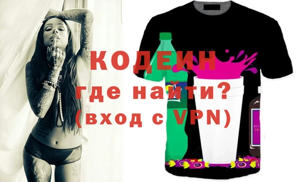 индика Покачи