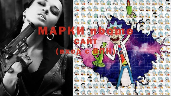 прущие грибы Покров