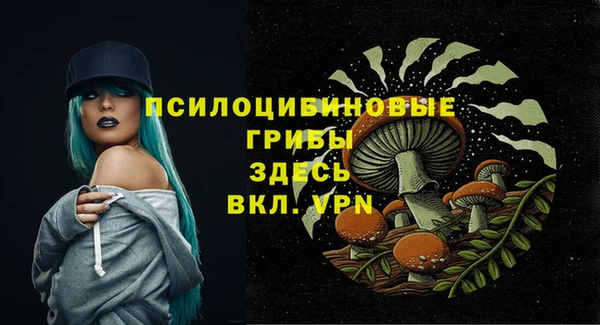 стаф Переславль-Залесский